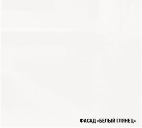ТЕРЦИЯ Кухонный гарнитур Экстра 5 (3000 мм) в Нижнекамске - nizhnekamsk.mebel24.online | фото 6
