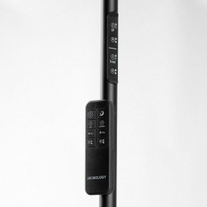 Торшер Lussole Carmel LSP-0901-SE в Нижнекамске - nizhnekamsk.mebel24.online | фото 5