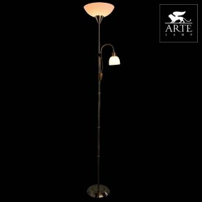 Торшер с подсветкой Arte Lamp Duetto A9569PN-2AB в Нижнекамске - nizhnekamsk.mebel24.online | фото 3