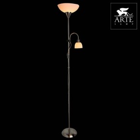 Торшер с подсветкой Arte Lamp Duetto A9569PN-2SS в Нижнекамске - nizhnekamsk.mebel24.online | фото 3