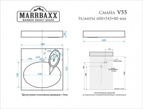 Умывальник над стиральной машиной (600*545*80) Смайл V55D1 (белый) с кронштейном без сифона (V55D1) в Нижнекамске - nizhnekamsk.mebel24.online | фото 2