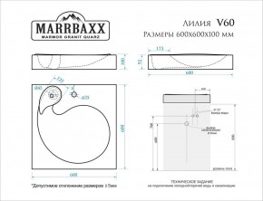 Умывальник над стиральной машиной (600*600х100) Лилия V60 (белый) с кронштейном без сифона (V60) в Нижнекамске - nizhnekamsk.mebel24.online | фото 2