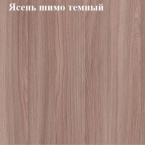 Вешалка для одежды (Ясень шимо темный) в Нижнекамске - nizhnekamsk.mebel24.online | фото 2